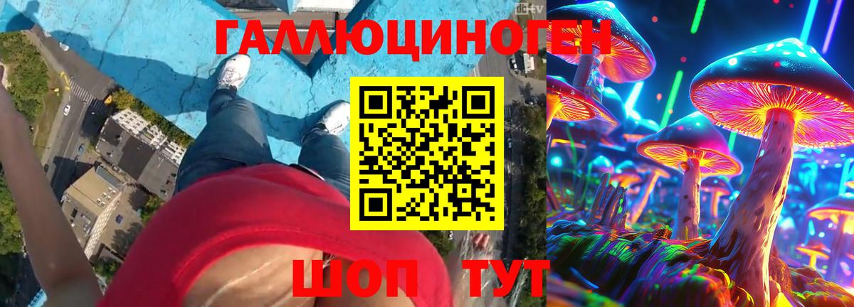 Южно-Сахалинск  Галлюциногенные грибы Cubensis  Вход с VPN 